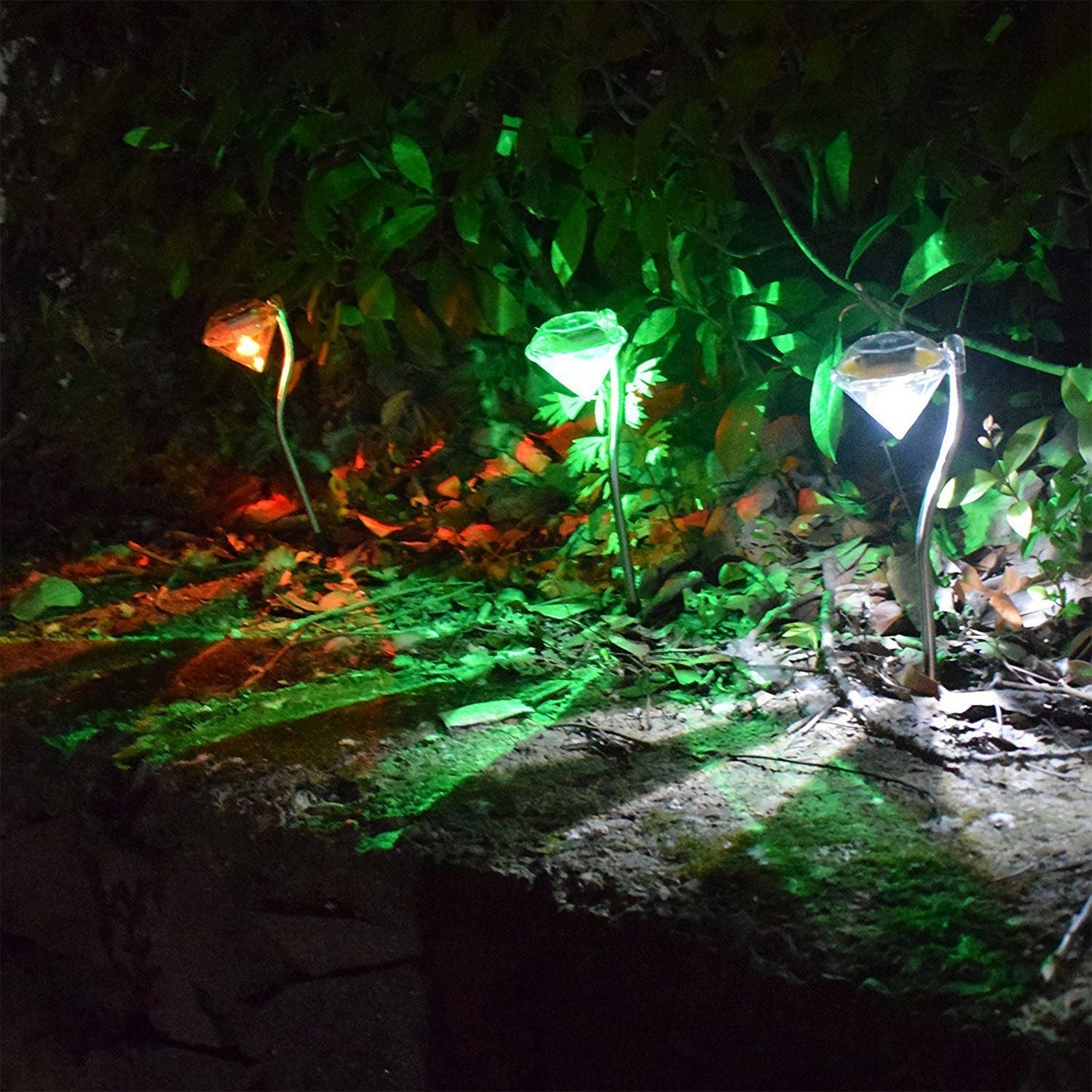 Garden and Outdoor Lighting