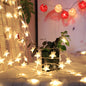 1.5m/3m/6m/10m LED Star String Lights Battery USB Powered
