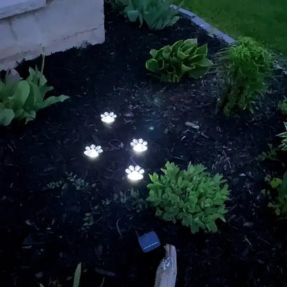 Paw Print Solar Outdoor Garden Path Lights, Solar Lights (4pcs)